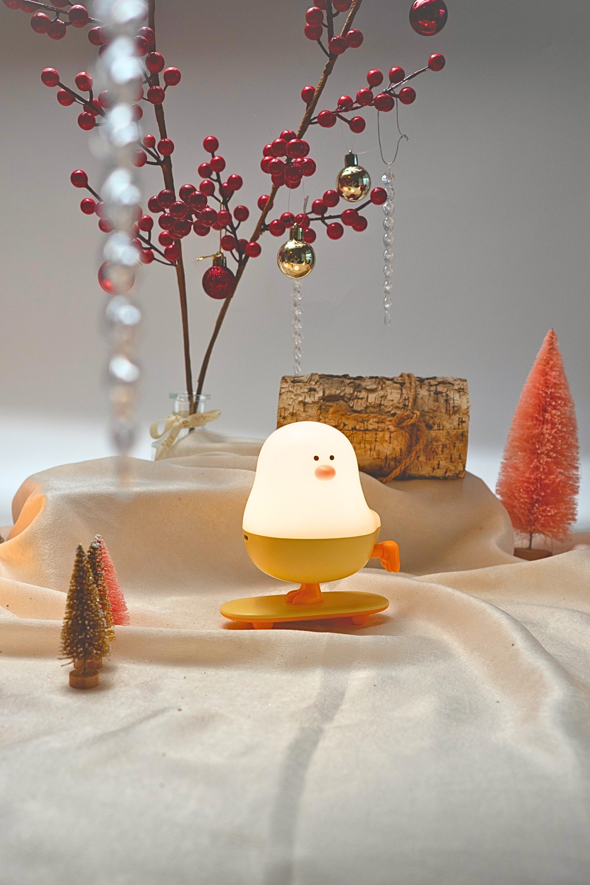 SKATEBOARD DUCK